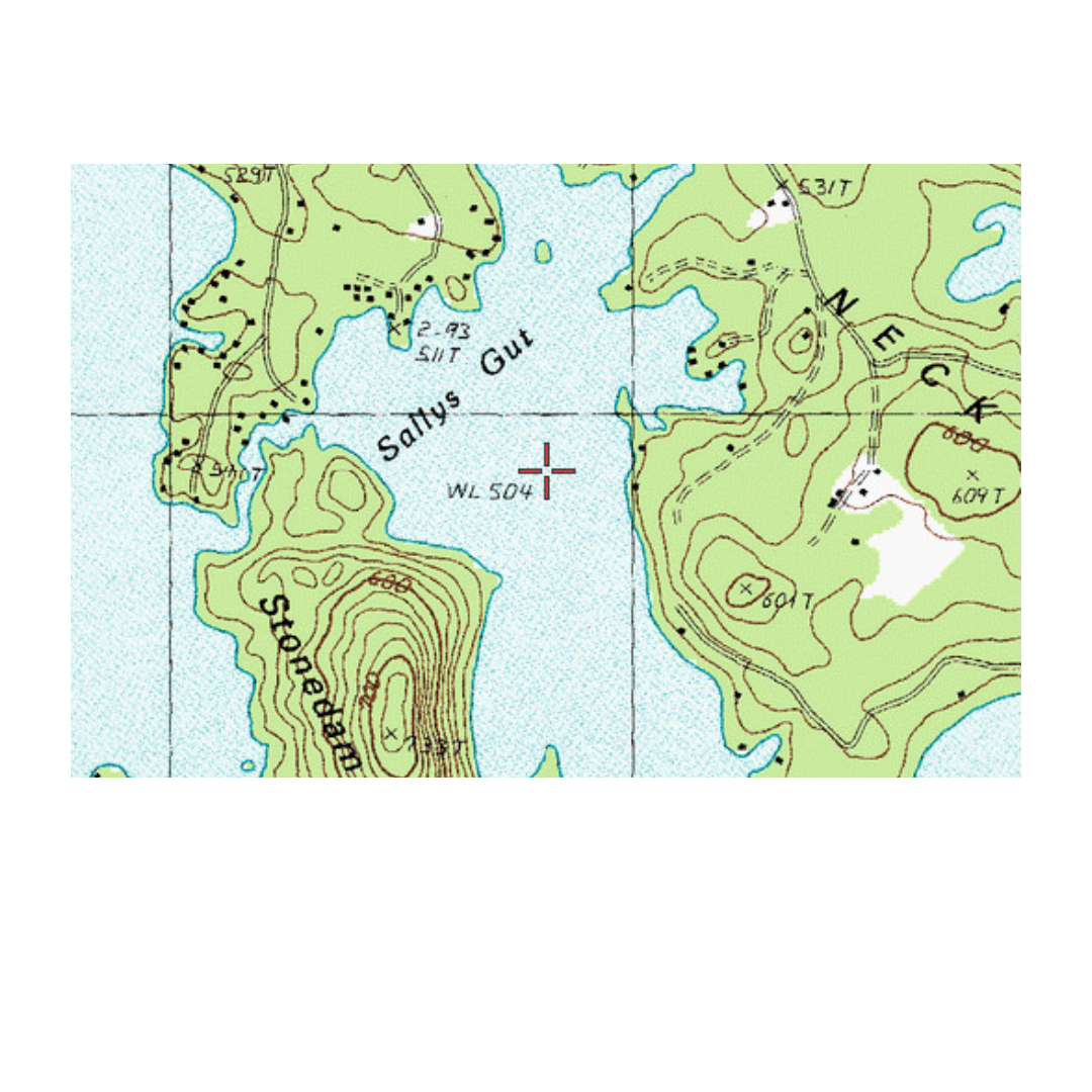 sally's gut map